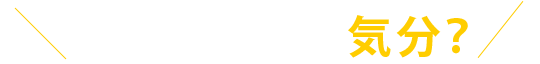 今日はどちらの気分？